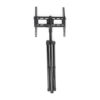 TV Tripod Stand up to 55 Inch
